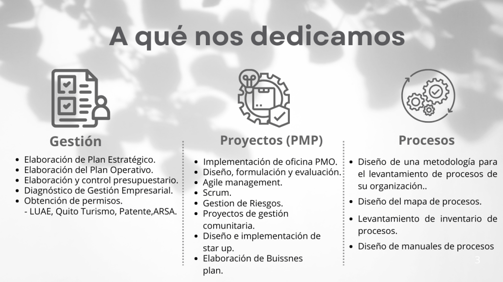 Proyecto 1